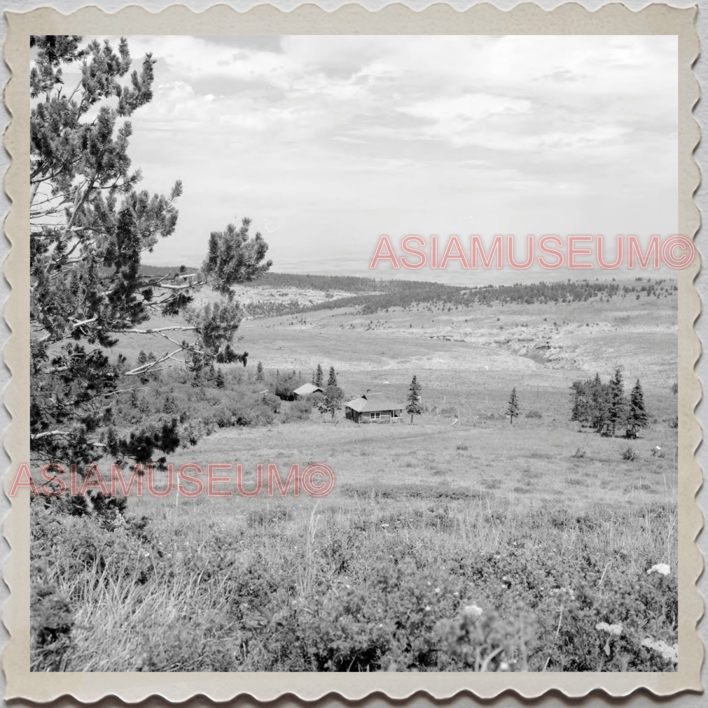 50s CROW TRIBE BIG HORN COUNTY MONTANA AGENCY HOUSE FIELD VINTAGE USA Photo 8683