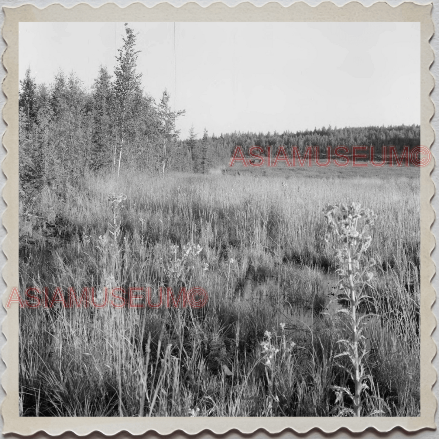 50s FAIRBANKS NORTH STAR BOROUGH ALASKA RIVER FISHING VINTAGE USA Photo 10927