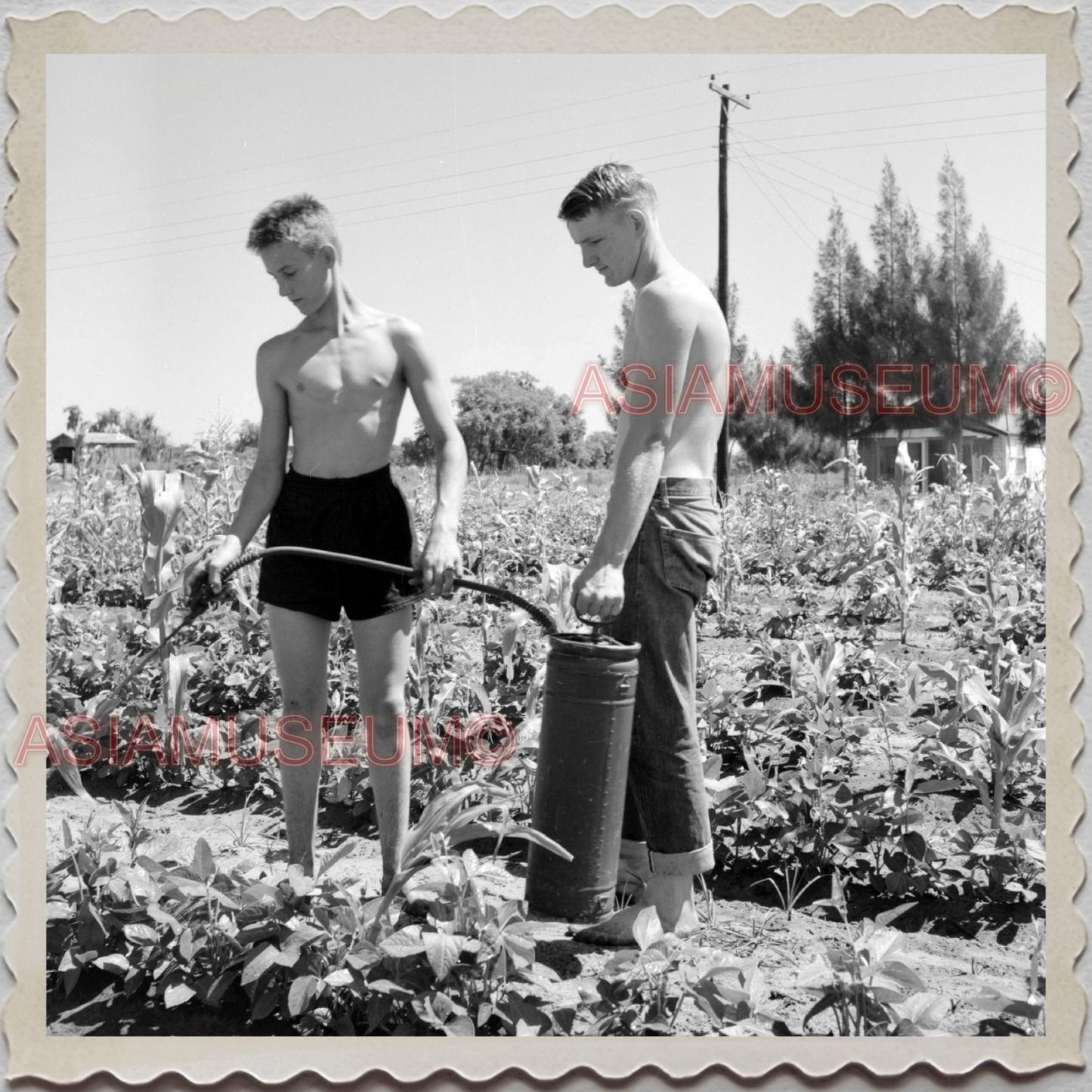 50s POLK COUNTY LAKELAND BARTOW FLORIDA BOYS GARDENING VINTAGE USA Photo 9617