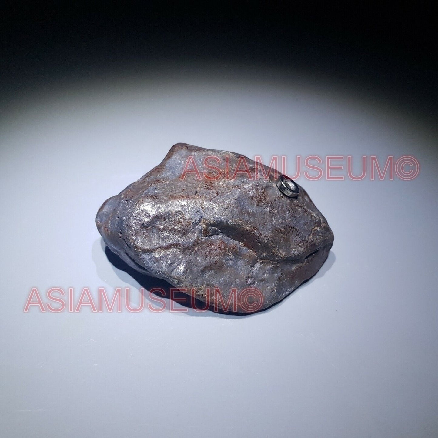 334g XINJIANG Uyghur Armanty IRON NICKEL METEORITE Crystal Meteor Aerolite Jb