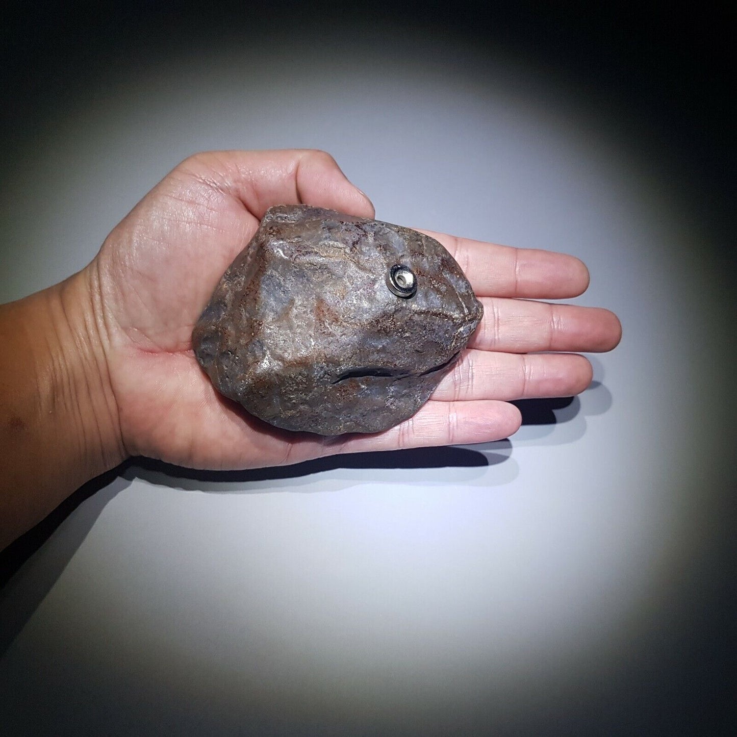 334g XINJIANG Uyghur Armanty IRON NICKEL METEORITE Crystal Meteor Aerolite Jb