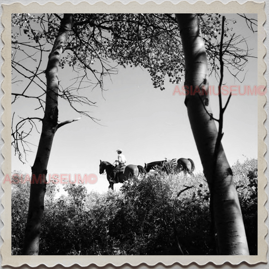 40s AUGUSTA KRONE RANCH MAN HORSE TREE USA OLD AMERICA UNITED STATES Photo S8408