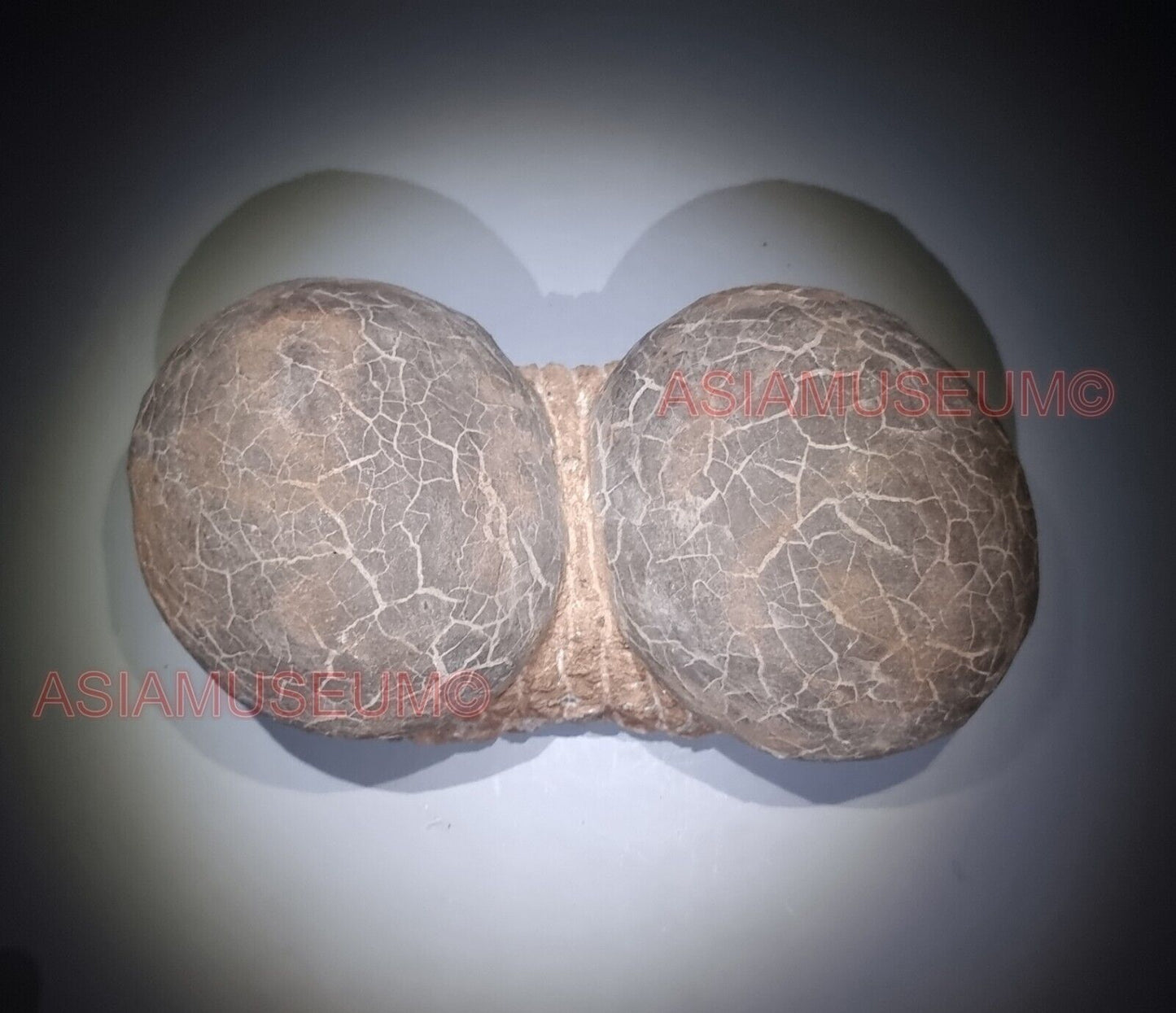 DOUBLE PAIR Dinosaur Egg Nest Hadrosaur Duckbill Fossil Jurassic Park World G63k