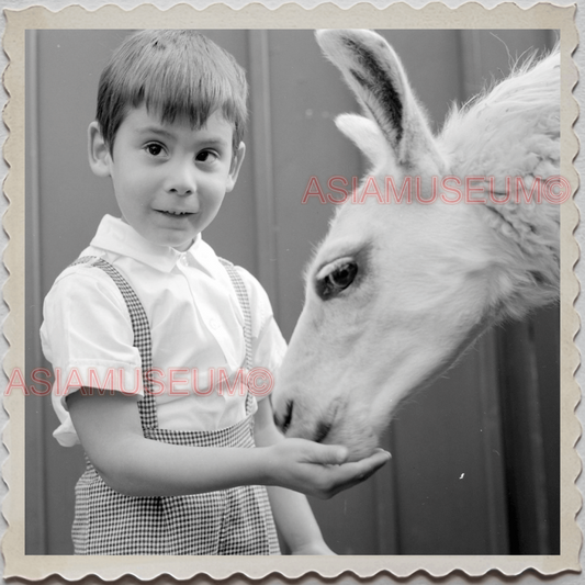 50s MANHATTAN NEW YORK CITY CENTRAL PARK ZOO LLAMA BOY VINTAGE USA Photo 11815