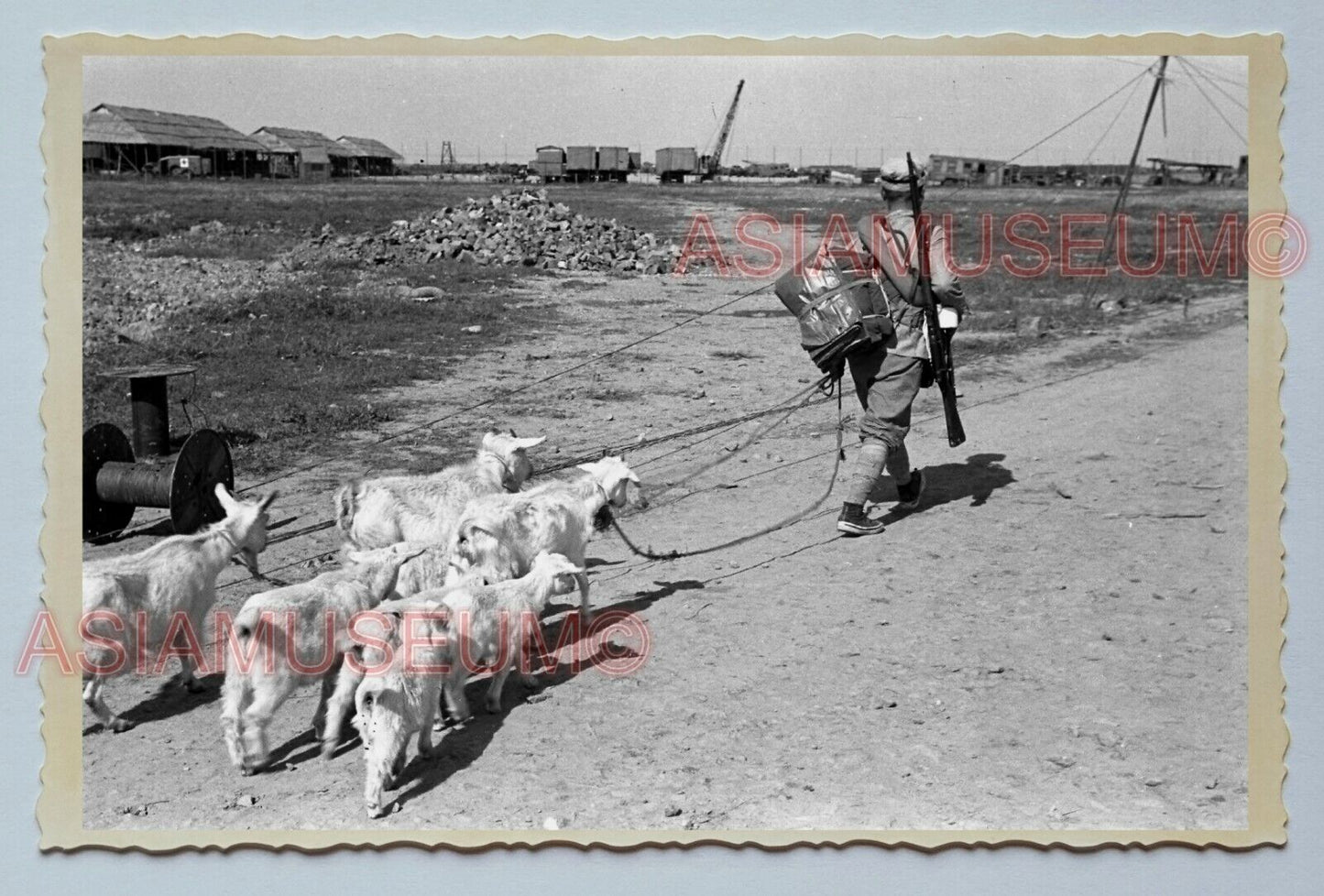 1940s MILITARY LIVESTOCK SOLDIER B&W Vintage China Shanghai Photo #3207 中国上海老照片