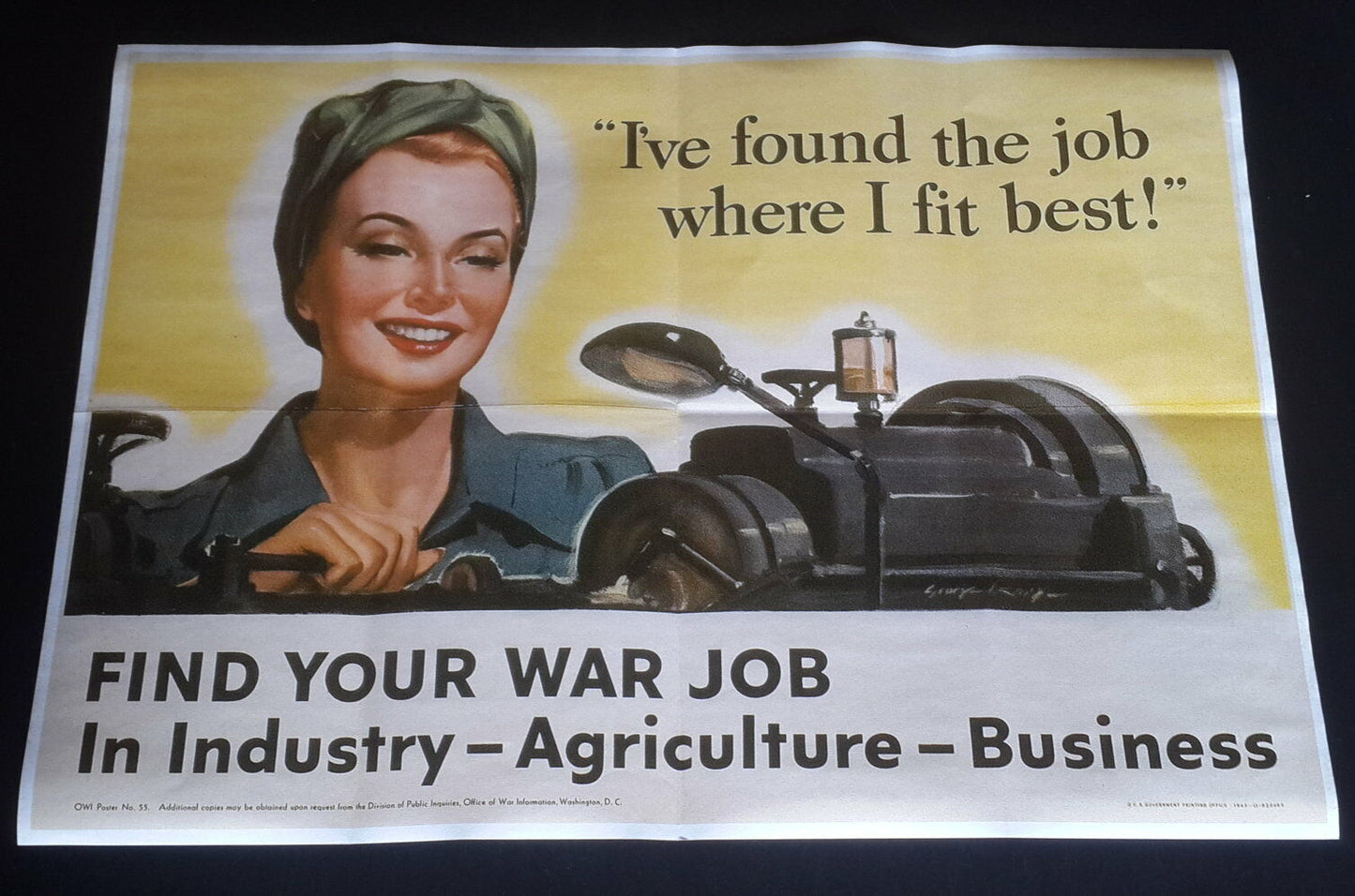 1943 WW2 WOMEN SEXY LADY USA AMERICA WAR JOB AGRICULTURE FLAG PROPAGANDA POSTER