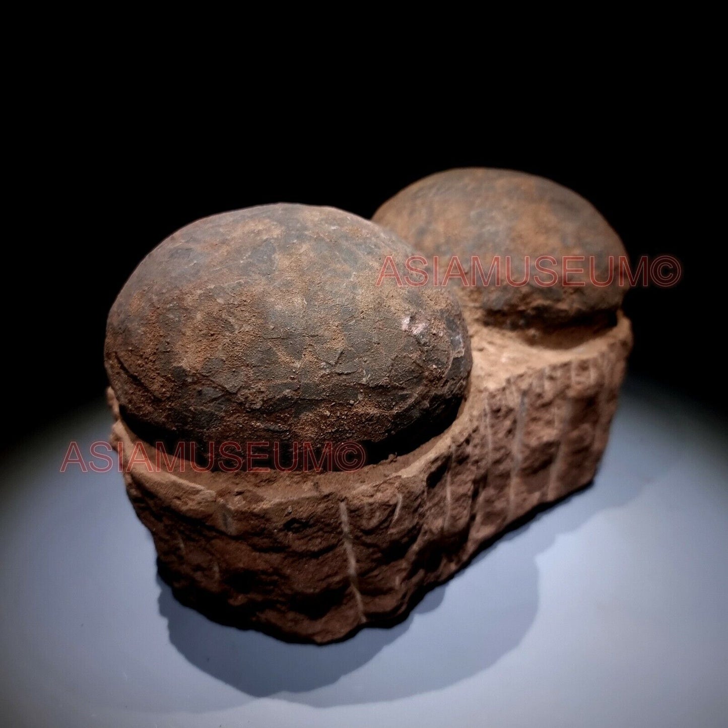 DOUBLE PAIR Dinosaur Egg Nest Hadrosaur Duckbill Fossil Jurassic Cretaceous B3w6