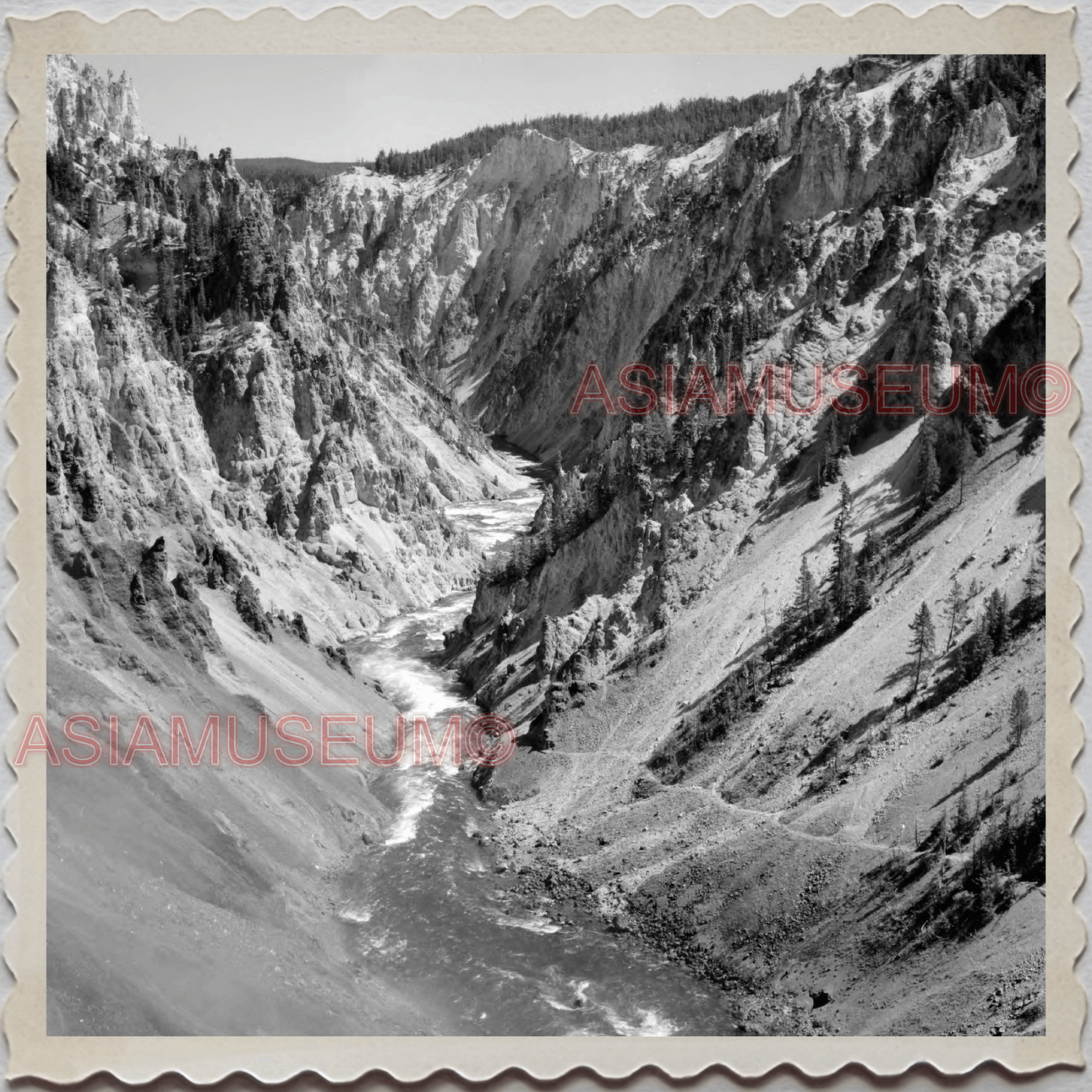 50s YELLOWSTONE NATIONAL PARK WYOMING GRAND CANYON RIVER VINTAGE USA Photo 10159