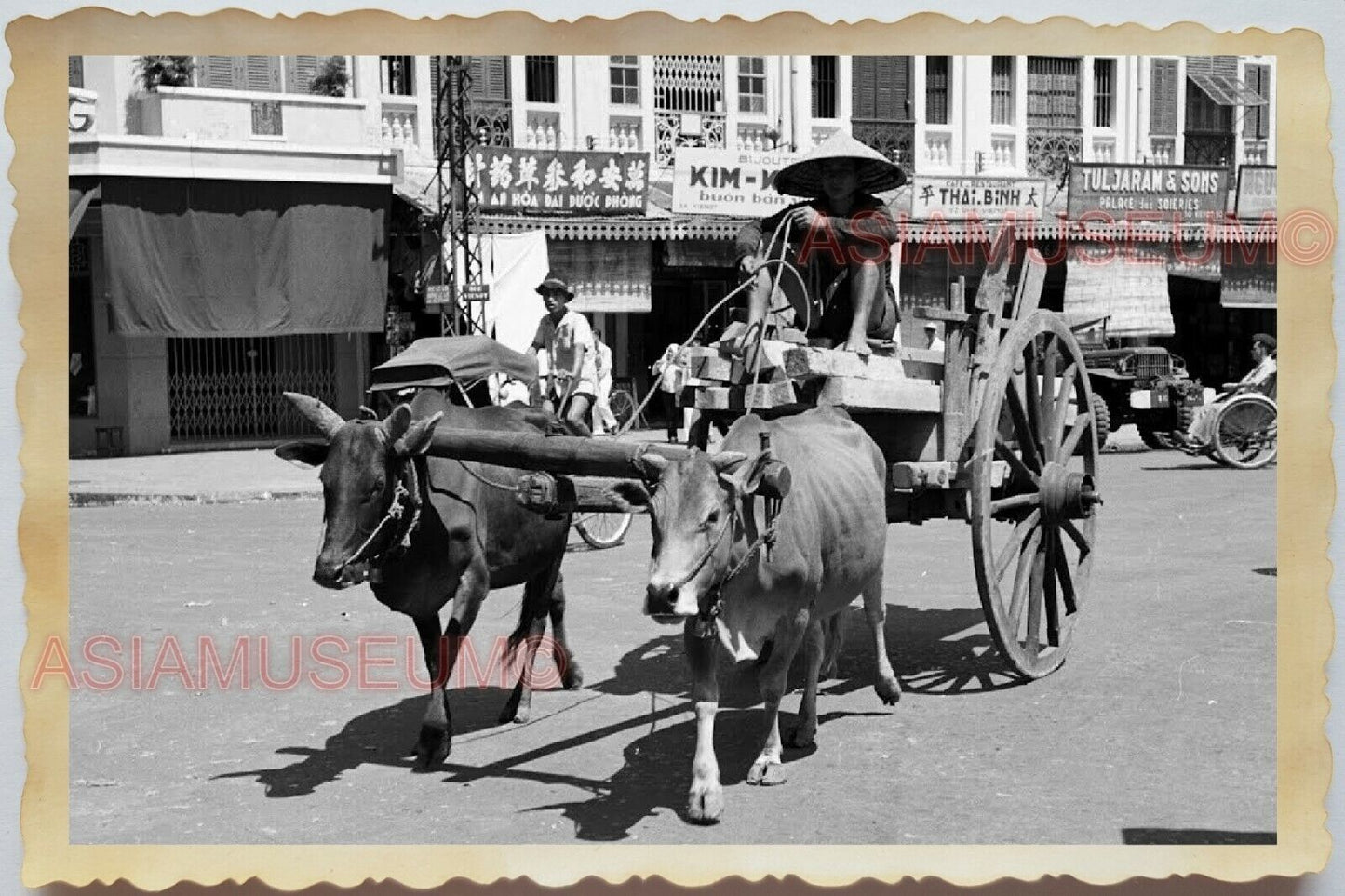 50s Vietnam War Saigon HO CHI MINH STREET SCENE BULLOCK CART Vintage Photo #1204