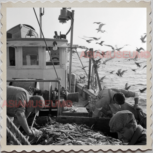 50s GLOUCESTER HARBOR ESSEX MASSACHUSETTS SHIP FISHING BOAT OLD USA Photo 9261