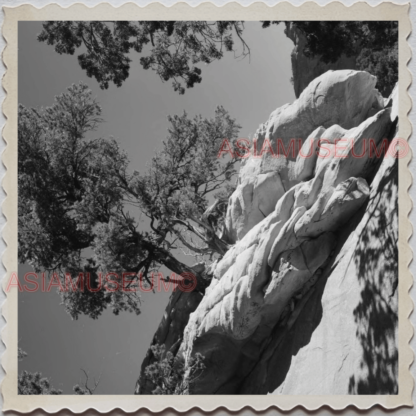 50s WINDOW ROCK NAVAJO NATION APACHE ARIZONA NEW MEXICO VINTAGE USA Photo 10895