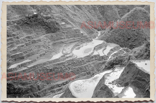 50s PHILIPPINES LUZON IFUGAO BANAUE RICE TERRACE MOUNTAIN  Vintage Photo 24359