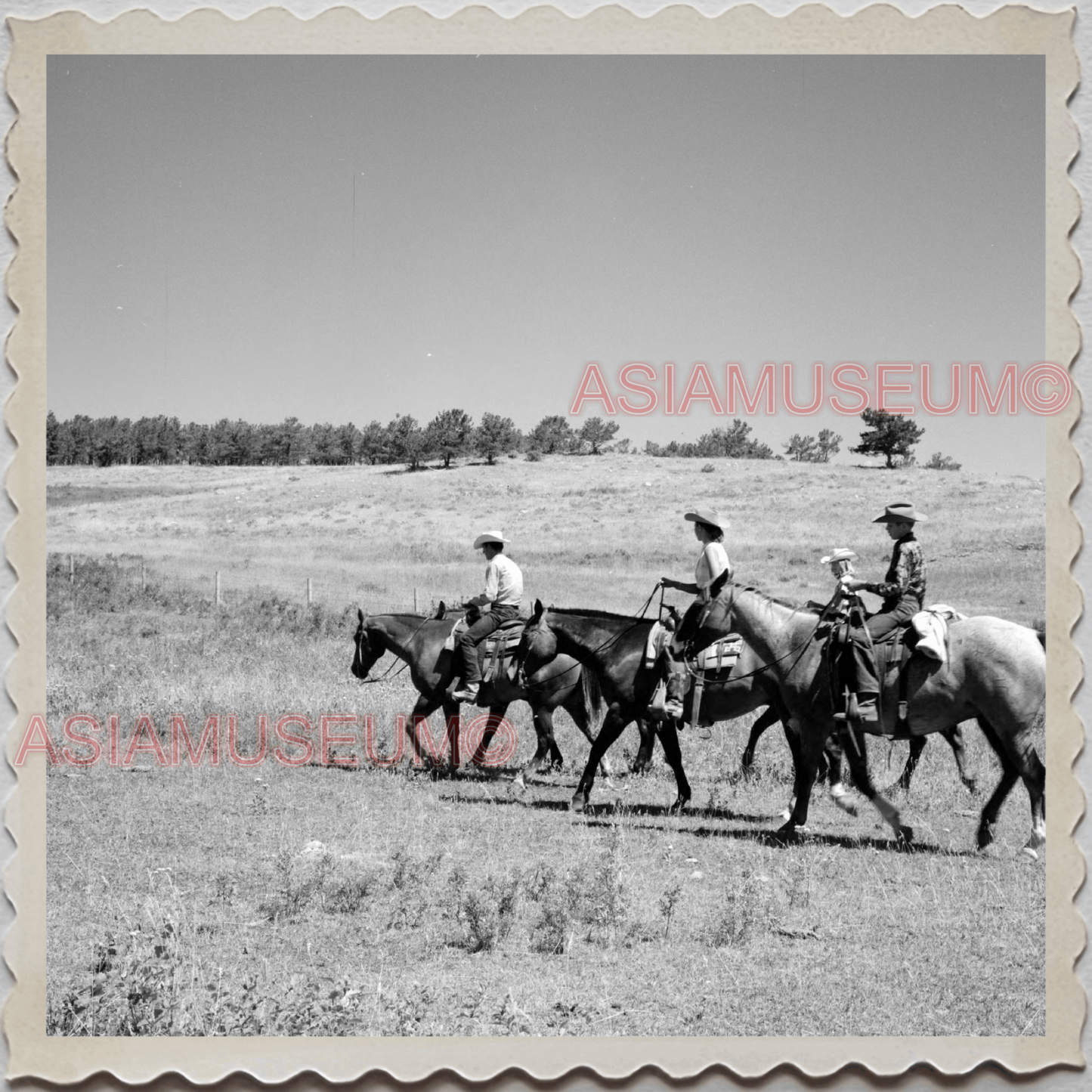 50s AUGUSTA KRONE RANCH COWBOY HORSE VALLEY VINTAGE OLD USA AMERICA Photo 11499