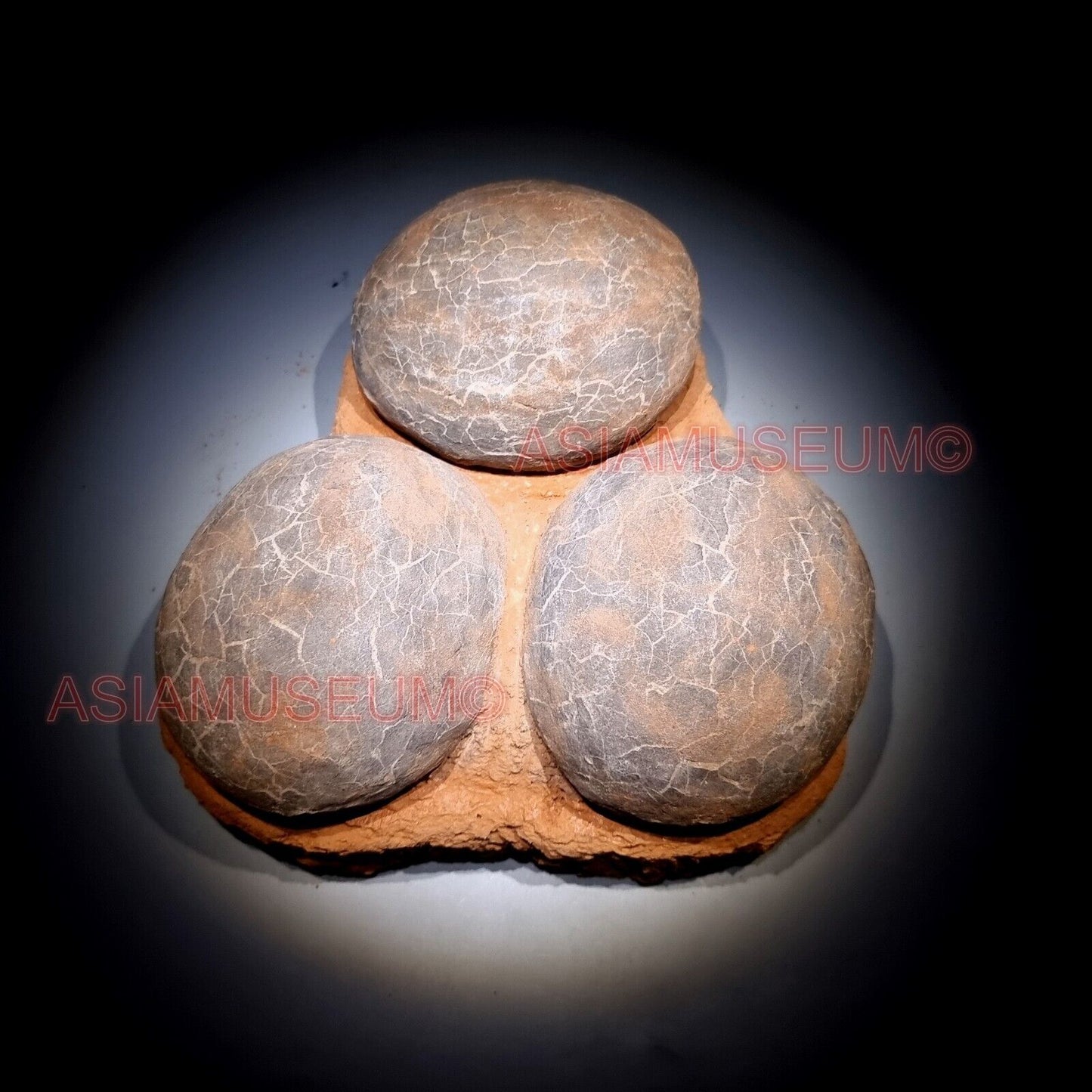 TRIPLE Dinosaur Egg Nest Hadrosaur Duckbill Fossil Jurassic Cretaceous World