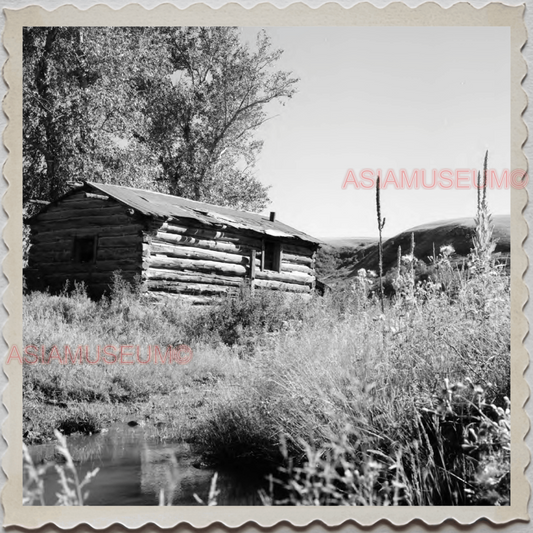 50s CUSTER COUNTY COLORADO WESTCLIFFE LOG CABIN FOREST  VINTAGE USA Photo 8511