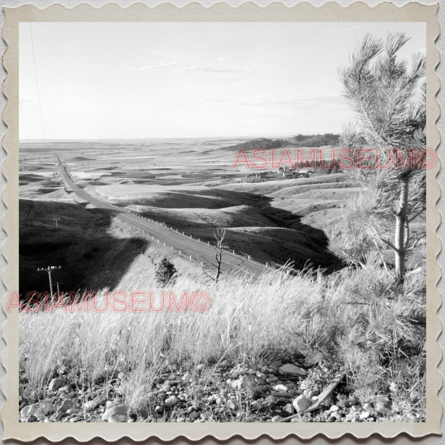 50s CASCADE COUNTY MONTANA MAN HIGHWAY ROAD OLD  AMERICA VINTAGE USA Photo 8586