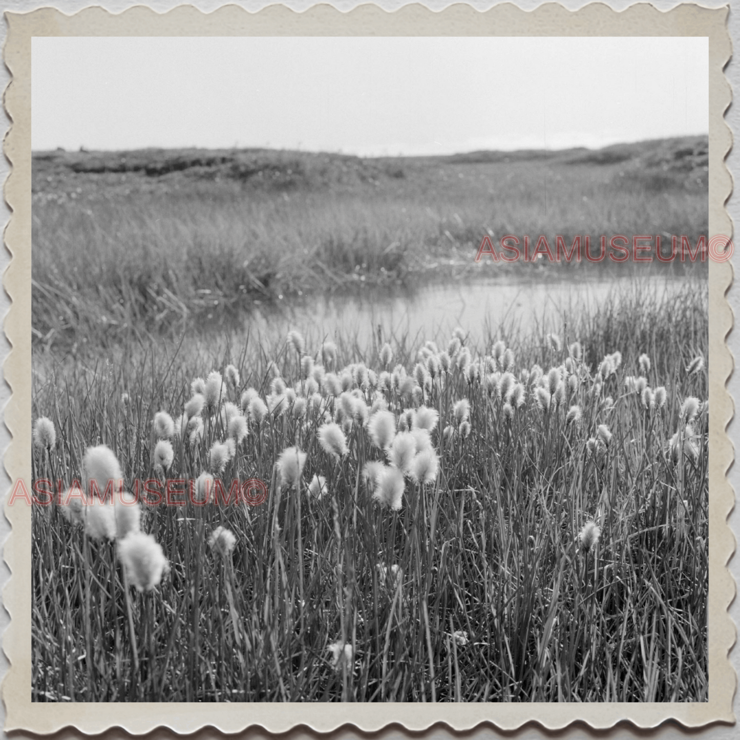 50s UTQIAGVIK NORTH SLOPE BARROW ALASKA ARCTIC STREAM FIELD OLD USA Photo 8314