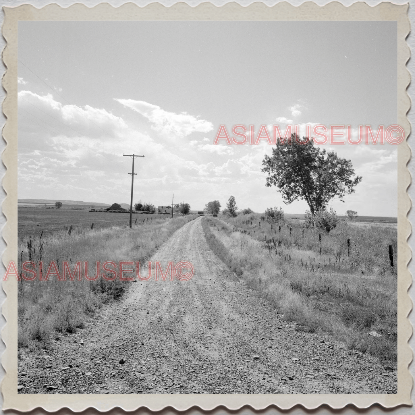 50s HARDIN TOWN BIG HORN COUNTY MONTANA ROAD TREE FIELD VINTAGE USA Photo 12029