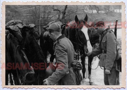 WWii D-DAY NORMANDY EUROPE Military Infantry Horse Soldier Army Axis Photo B5