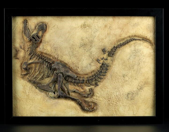 Fossilien Baby Tyrannosaurus T-REX DINOSAURIER Jurassische Welt Reproduzieren