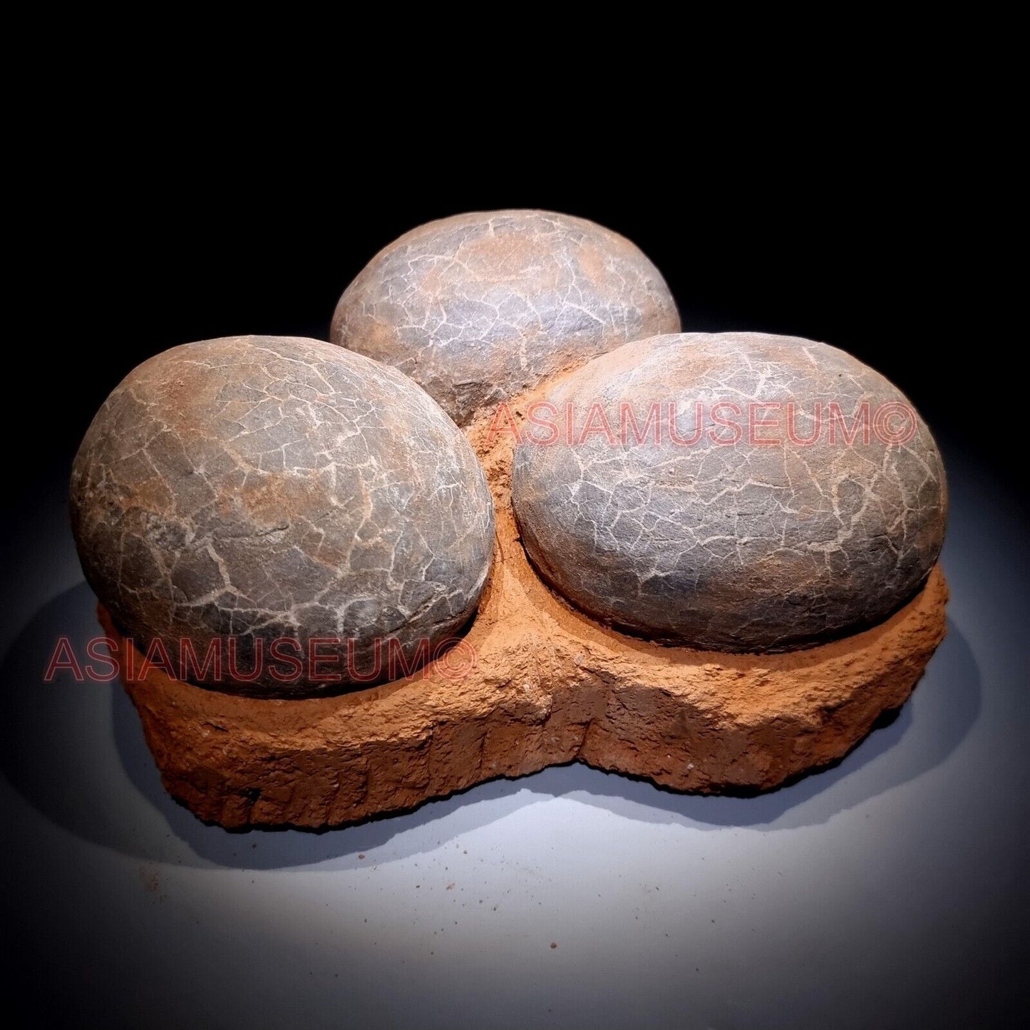 TRIPLE Dinosaur Egg Nest Hadrosaur Duckbill Fossil Jurassic Cretaceous World