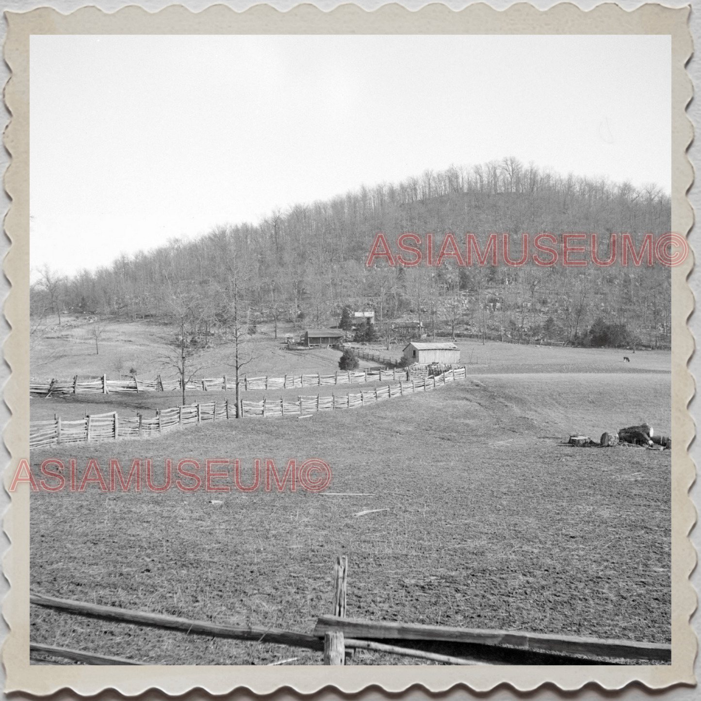 50s NASHVILLE KNOXVILLE TENNESSEE LUMBER MILL YARD FARM  VINTAGE USA Photo 10289