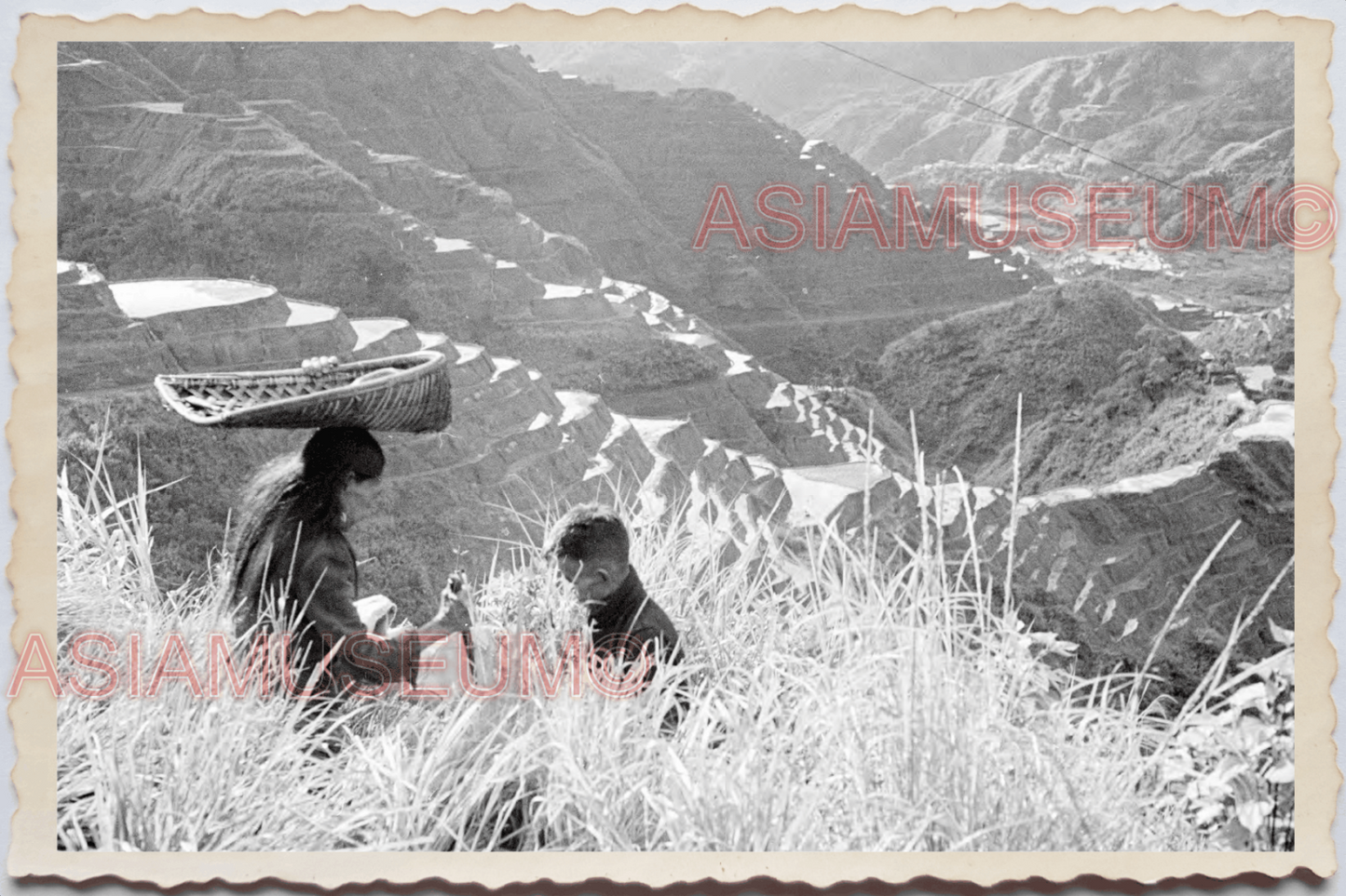 50s PHILIPPINES IFUGAO HILL RICE TERRACE PADDY FIELD BANAUE Vintage Photo 24215