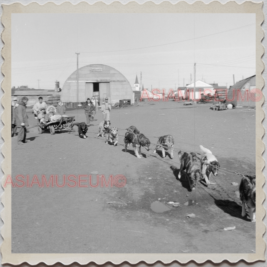 50s UTQIAGVIK NORTH SLOPE BARROW ALASKA DOG SLED TEAM  VINTAGE USA Photo 10097