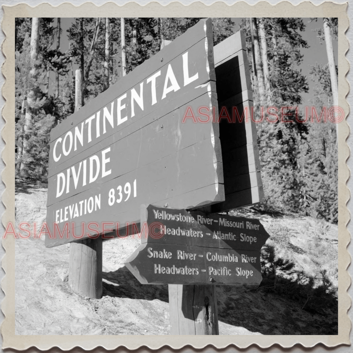 50s YELLOWSTONE NATIONAL PARK WYOMING PARK INFORMATION SIGN OLD USA Photo 11765