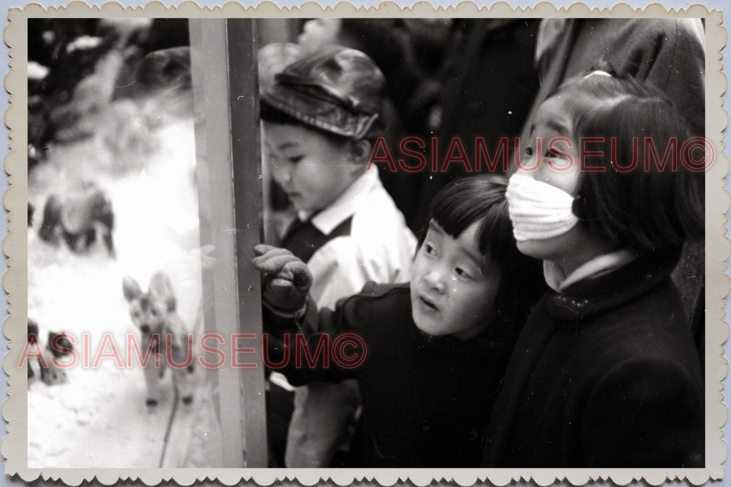 WW2 JAPAN TOKYO CHILDREN BOYS GIRL CHRISTMAS SANTA CLAUS DOG Vintage Photo 24663