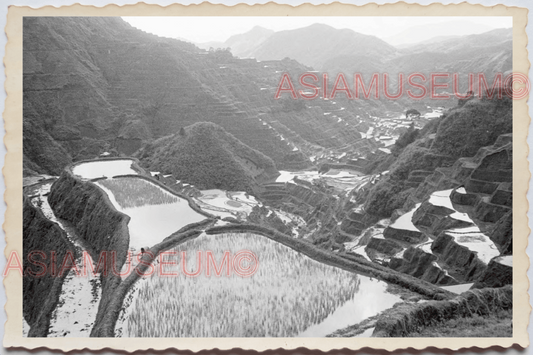 50s PHILIPPINES LUZON IFUGAO BANAUE RICE TERRACE MOUNTAIN  Vintage Photo 24353