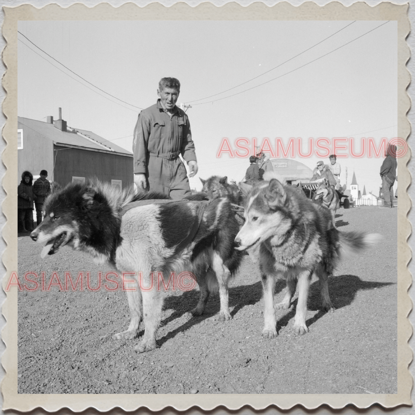 50s UTQIAGVIK NORTH SLOPE BARROW ALASKA ARCTIC SLED DOG VINTAGE USA Photo 10819