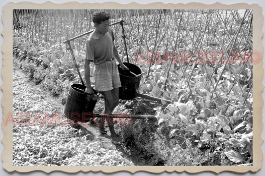 40's MACAU MACAO Farming Taipa Cologne Man Farm Plant Vintage Photo 澳门旧照片 28312