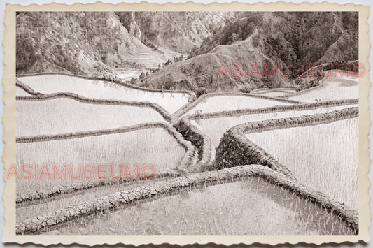 50s PHILIPPINES MANILA LUZON MOUNTAIN HILL RICE TERRACE VIEW Vintage Photo 24312