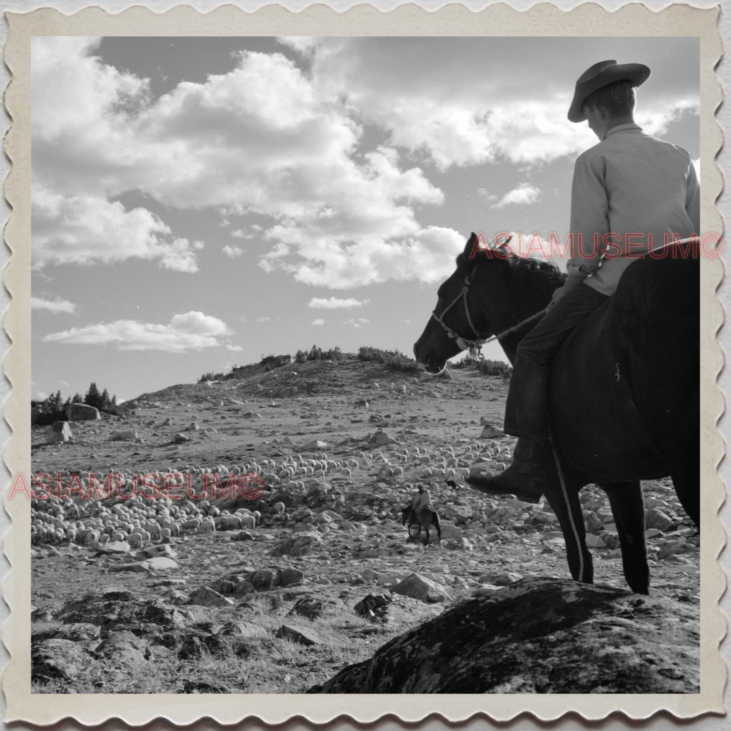 50s PARK COUNTY LIVINGSTON MONTANA YELLOWSTONE COWBOY US VINTAGE USA Photo 8484