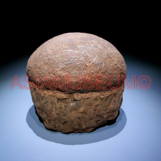 Dinosaur Egg Nest Dendrolithus Hadrosaur Duckbill Fossil Jurassic Park World Bb2