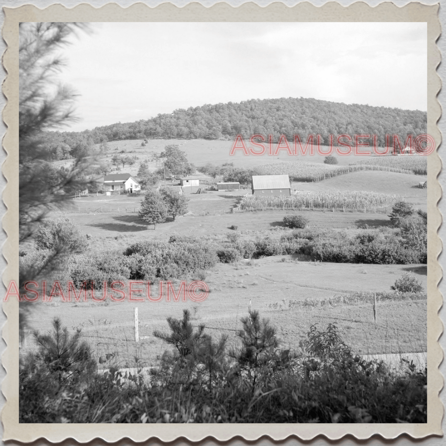 50s VIRGINIA CITY STOREY NEVADA RENO HILL VIEW SCENERY VINTAGE USA Photo 11599