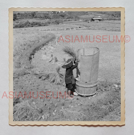 1940s WOMEN FARMER PADDY FIELD YUEN LONG B&W Vintage Hong Kong Photo 30279 香港旧照片