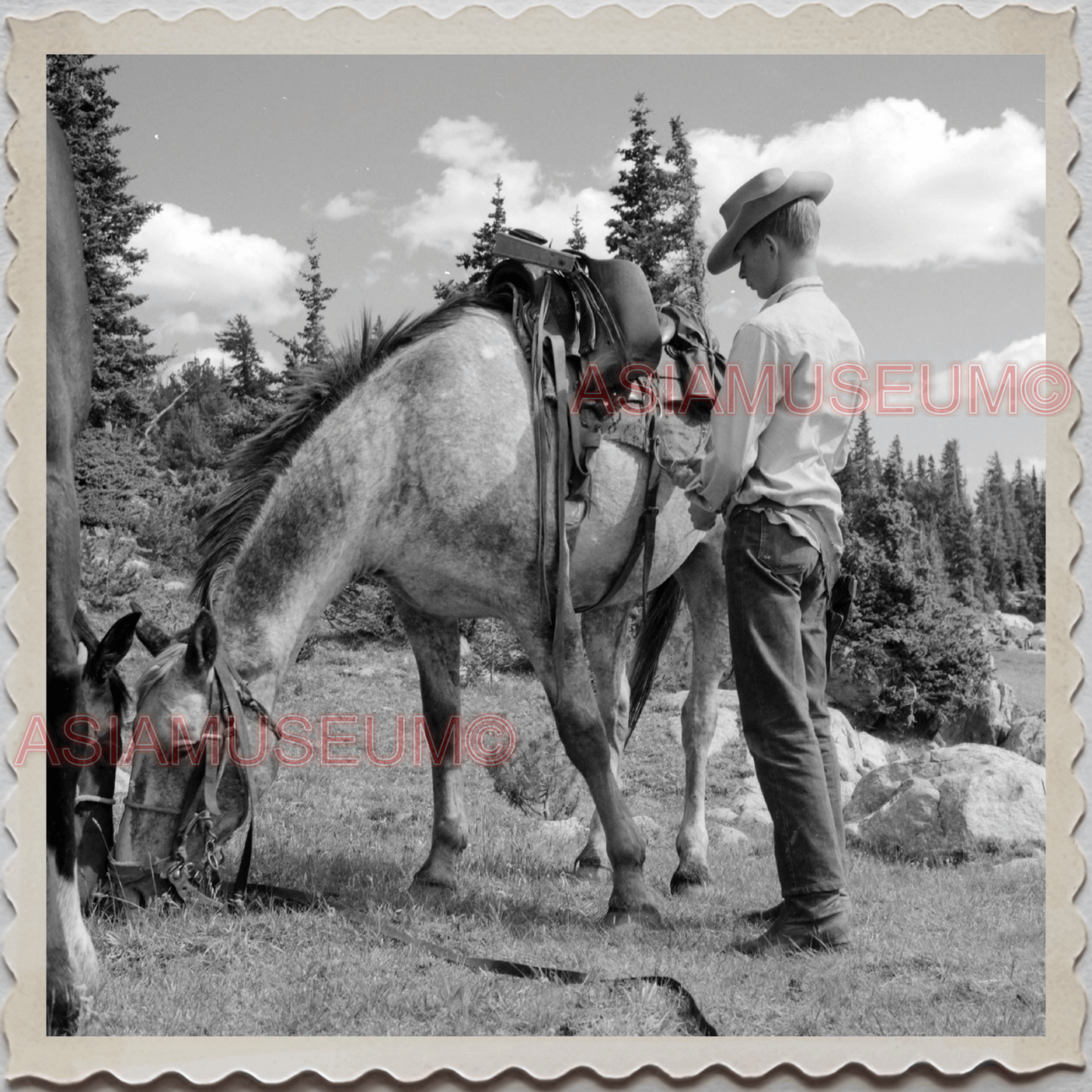 50s PARK COUNTY LIVINGSTON MONTANA YELLOWSTONE HORSE BOY VINTAGE USA Photo 9947