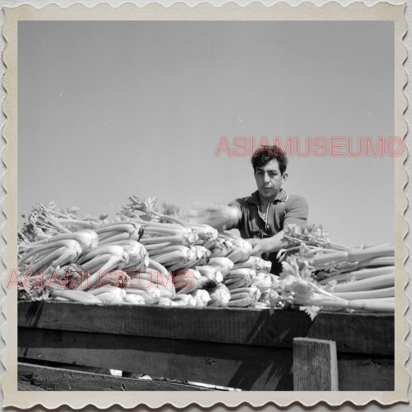 50s LAKE GENEVA WISCONSIN WALWORTH MILWAUKEE CHICAGO FARMER OLD USA Photo 8729