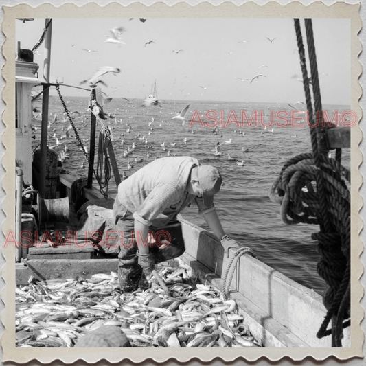 50s GLOUCESTER HARBOR ESSEX MASSACHUSETTS FISHERMAN FISH VINTAGE USA Photo 11944