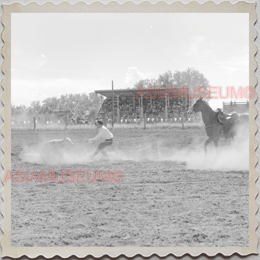 50s CROW TRIBE BIG HORN COUNTY MONTANA AGENCY FIELD HORSE VINTAGE USA Photo 9699