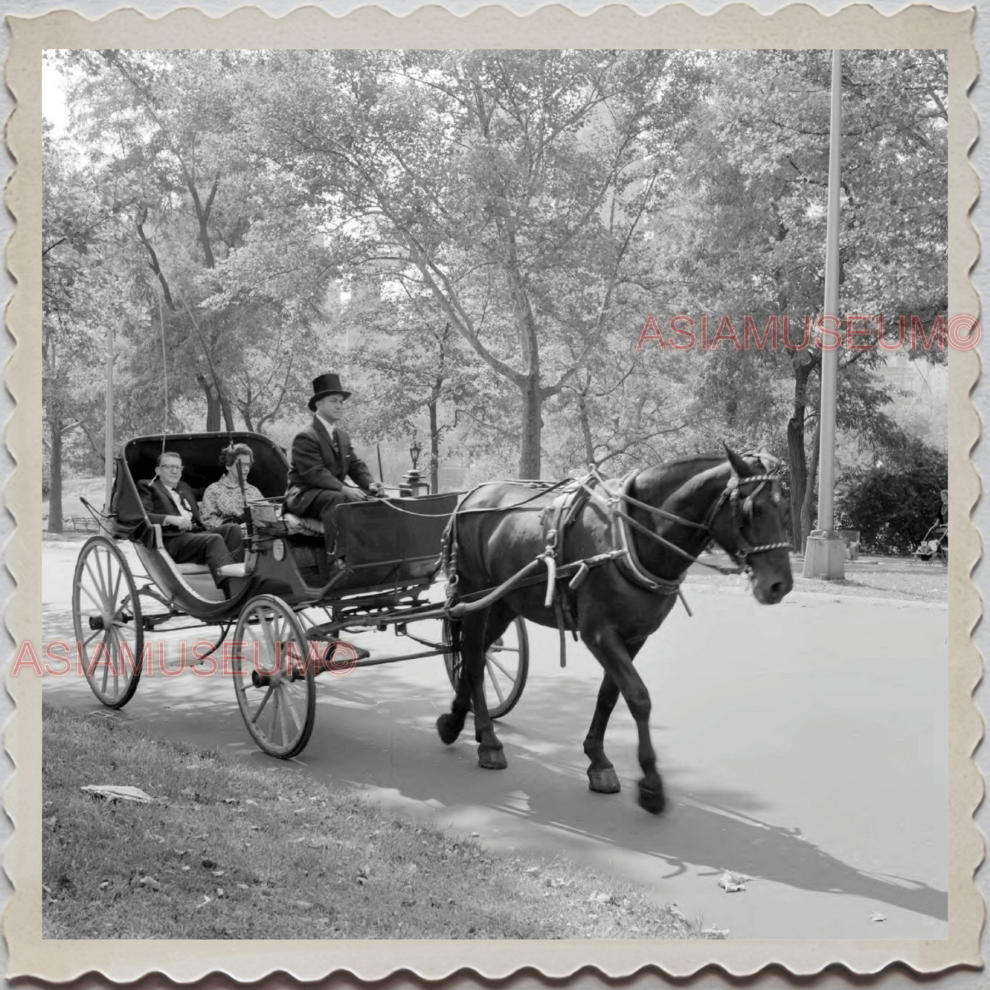 50s MANHATTAN NEW YORK CITY WOMEN HORSE CARRIAGE CENTRAL PARK OLD USA Photo 8414