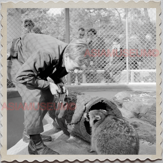 50s MANHATTAN NEW YORK CITY CENTRAL PARK ZOO RACCOON VINTAGE OLD USA Photo 12586