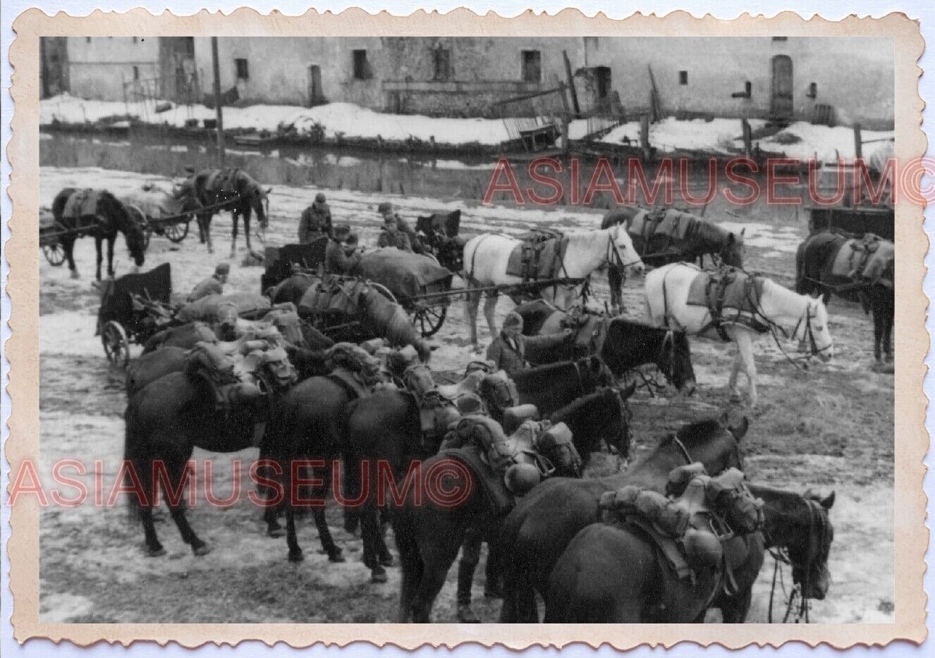 WWii D-DAY NORMANDY EUROPE WAR GUN Military Infantry Horse Soldier Army Photo B4