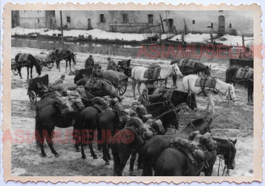 WWii D-DAY NORMANDY EUROPE WAR GUN Military Infantry Horse Soldier Army Photo B4