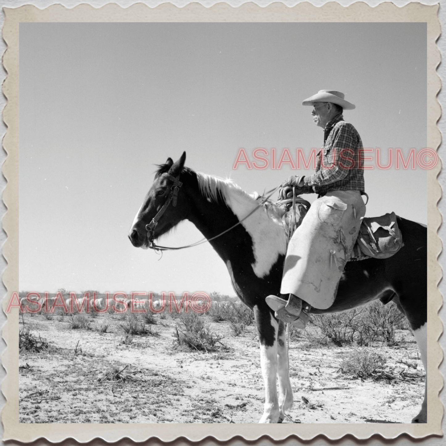 50s FORT STOCKTON PECOS COUNTY TEXAS COWBOY MAN HORSE HAT VINTAGE USA Photo 9856