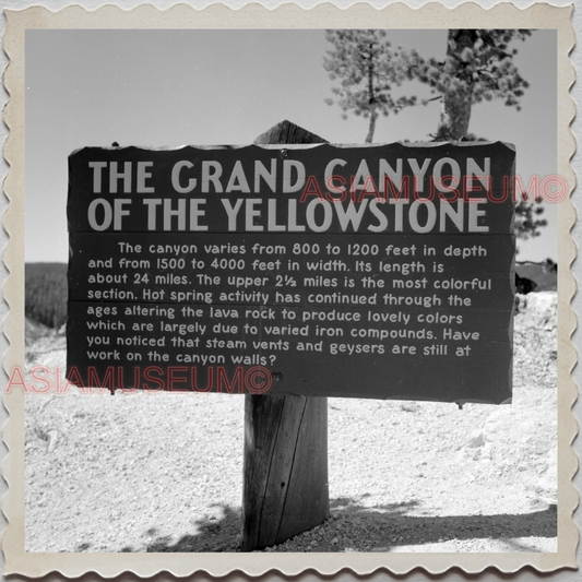 50s YELLOWSTONE NATIONAL PARK WYOMING PARK DEER CROSS SIGN OLD USA Photo 12394