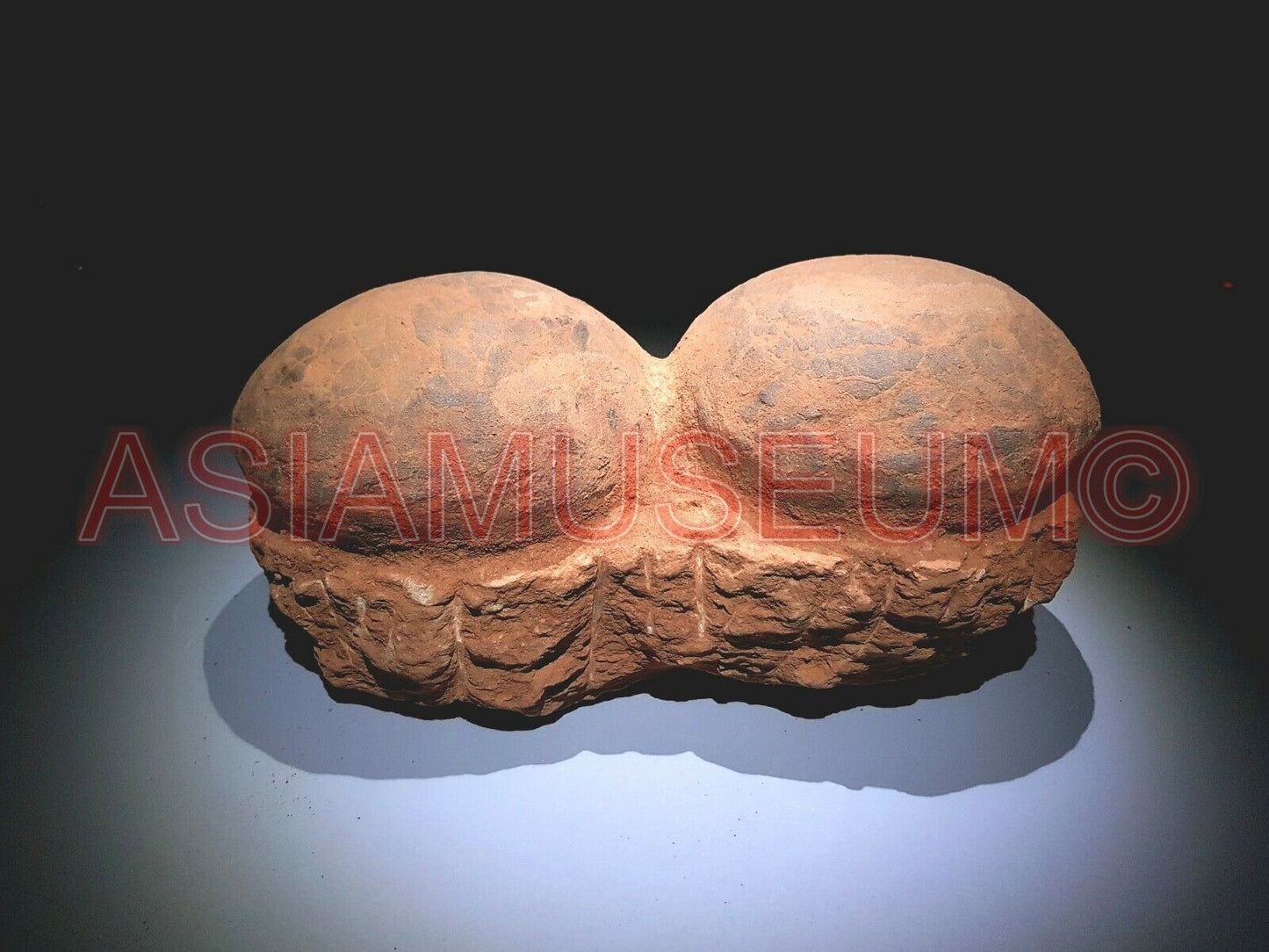 Pair Dinosaur Egg Nest Dendrolithus Hadrosaur Fossil Jurassic World Cretaceous Z