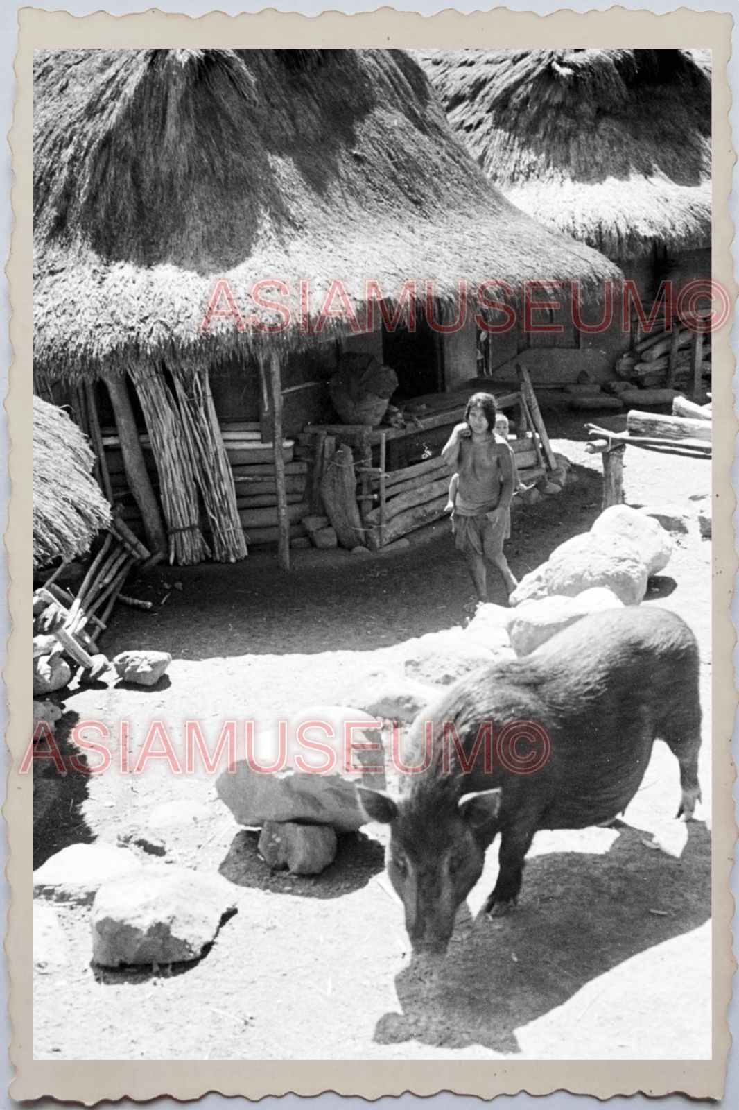 50s PHILIPPINES YOUNG GIRL PIG BABY TATTOO TOPLESS HOG TRIBE Vintage Photo 24324